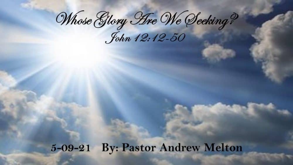 “Whose Glory Are We Seeking”  John 12:12-50