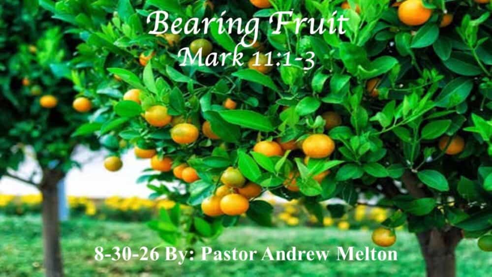 “Bearing Fruit”  Mark 11:1-33